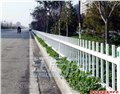 郑州热镀锌绿化带草坪护栏 图片