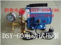 廠家直銷DSY-60電動試壓泵，手提式電動試壓泵價格 圖片