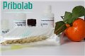 維生素B12/鈷胺素ELISA試劑盒 圖片