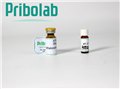 固態(tài)維生素B7/生物素標準品 圖片
