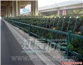 重庆市草坪绿化带护栏 图片