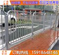 东莞灰色港式护栏 人行道隔离护栏 广州交通护栏厂家 图片