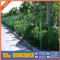 绿化带隔离防护网围栏网 钢丝隔离栏 绿化带护栏 图片