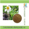 鬼针草提取物 三叶鬼针草 10:1 直销包邮  图片