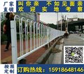 汕头马路市政隔离栅 广州护栏厂家批发 港式围栏现货批发 图片