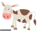 犊牛代乳粉提高犊牛成活率 图片