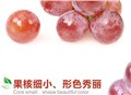 广州加盟百森水果利润怎么分配 图片