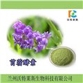 苜蓿酵素 紫花苜蓿酵素粉  兰州沃特莱斯 1公斤起订 长期供应 图片
