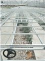 博超苗床-无土栽培种植槽 图片