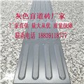 江苏苏州品牌盲人砖-众光全瓷盲道砖 放在哪都是大放光彩 图片