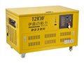 上海12KW多燃料發(fā)電機(jī)?   圖片