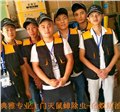 无锡灭白蚁公司，典雅虫控，无锡除虫 供应信息