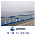 天津厂家定制直销水上平台浮台 模块组合浮桥 平台浮箱 图片