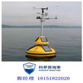广州厂家专业定制水质数据检测浮标 COD检测航标 图片