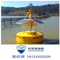 上海厂家专业定制水质数据监测浮标 工业水质检测航标 图片