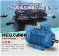 上海WEG铸铁变频电机 ，WEG电机高压电机正品可靠 图片