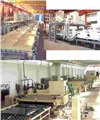 Sputtering line for low-e glass 图片