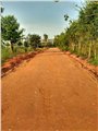 公路底基层硬化西安土壤固化剂陕西安土壤固化剂 图片