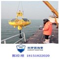 温州船用航标 过渡导标浮标 图片
