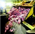 外高桥保税区冷冻肉制品销毁，上海专门销毁食品销毁 图片