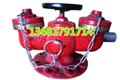 SQD100-1.6A多用式消防水泵接合器，地下 图片