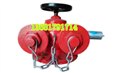 SQD100-1.6多用式消防水泵接合器，地上 图片