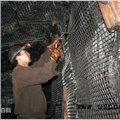 煤矿井下用钢塑复合假顶网  图片