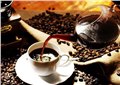 广州进口南美洲咖啡清关 图片