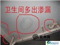 相城区望亭承接防水补漏工程（卫生间渗水维修） 图片