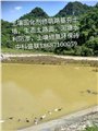 绿色生态园区西安土壤固化剂修筑路基河塘水利防渗 图片