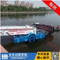 广西水葫芦打捞船价格 广东水面湖面垃圾保洁船 图片