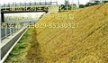 甘肃生态护坡工程陕西安土壤固化剂修筑路基生态固化土路面 图片