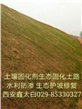 甘肃省边坡生态修复陕西安土壤固化剂修筑路基生态固化土路面 图片