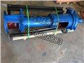 厂价直销大流量立式泥浆泵 离心污水泵 3PNL污水杂质泵 图片