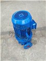 直销ISG50-315(I)A管道泵 单级单吸清水泵 立式循环管道泵 图片