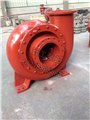 效率高节能脱硫泵 噪声低脱硫泵 40DT-A25渣浆泵 图片