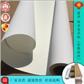广州盾冲1.07*30m爱普艺术微喷防水美术纸 图片