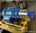 供应美国Rotor-Tech泵 GS-1100系列齿轮泵 图片