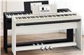 罗兰电钢琴FP30 FP-30数码智能钢琴88键重锤   图片