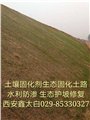 淤泥固化處理土壤固化劑重慶土壤固化劑重慶抗疏力土壤穩定劑 圖片