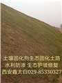 贵州生态路固化土重庆土壤固化剂重庆淤污泥固化剂重庆土壤稳定剂 图片
