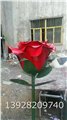 艳丽动人玫瑰花不锈钢雕塑 图片
