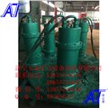 忻州市大量供应WQB防爆潜水泵 图片
