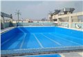 胶州泳池消毒价格多少|浩洋泳池 供应信息