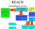 REACH191项SVHC检测报告 殴盟化学品管理局ECha 供应信息