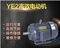 YE2高效率三相异步电动机-YE2-80M1-2 图片