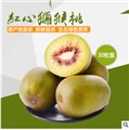 红心猕猴桃直销/蒲江县橙果农业 供应信息
