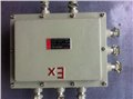 BJX-DIP防爆端子接线箱规格200x300 图片