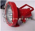 矿用隔爆型LED投光灯DGS30/127L(A)井口照明灯 图片
