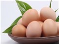 真正有机食品，纯正土鸡蛋源自大山里的泰美山谷 图片